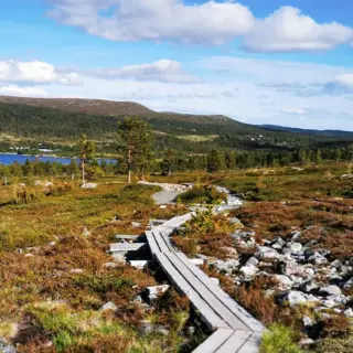 Unterwegs im Fjäll - Peter Bartel - Erlebnisrundreisen.de