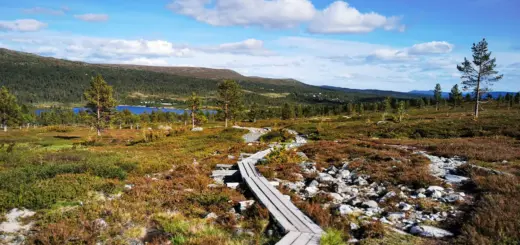 Unterwegs im Fjäll - Peter Bartel - Erlebnisrundreisen.de
