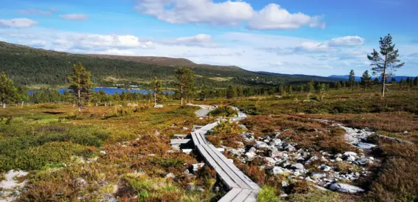 Unterwegs im Fjäll - Peter Bartel - Erlebnisrundreisen.de
