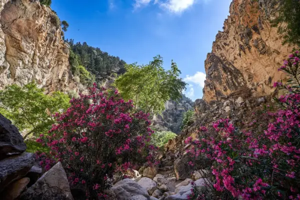 Avakas-Schlucht - GKor - © GKor / Adobe.com - Erlebnisrundreisen.de