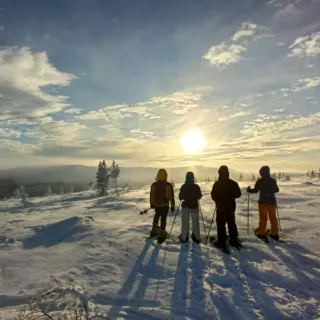 Finnland – Winterwildniswoche im Land der Sami