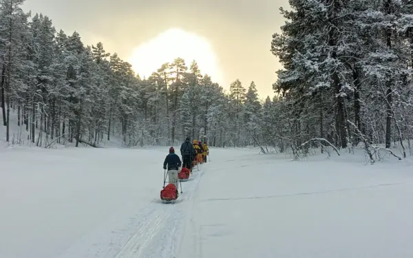 Finnland – Winterwildniswoche im Land der Sami