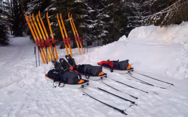 Finnland – Winterwildniswoche im Land der Sami