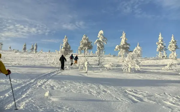 Finnland – Winterwildniswoche im Land der Sami