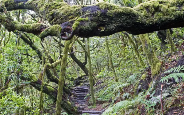 La Gomera – die schönsten Wanderziele