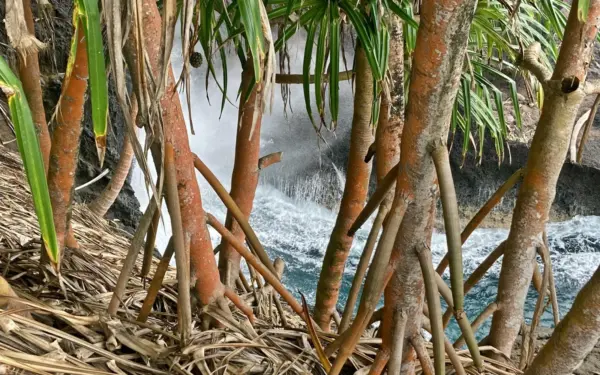 São Tomé & Príncipe – Schokoladeninseln im Atlantik