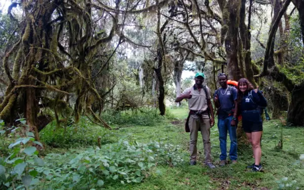 Tansania – Mount-Meru-Besteigung mit Safari im Arusha-Nationalpark